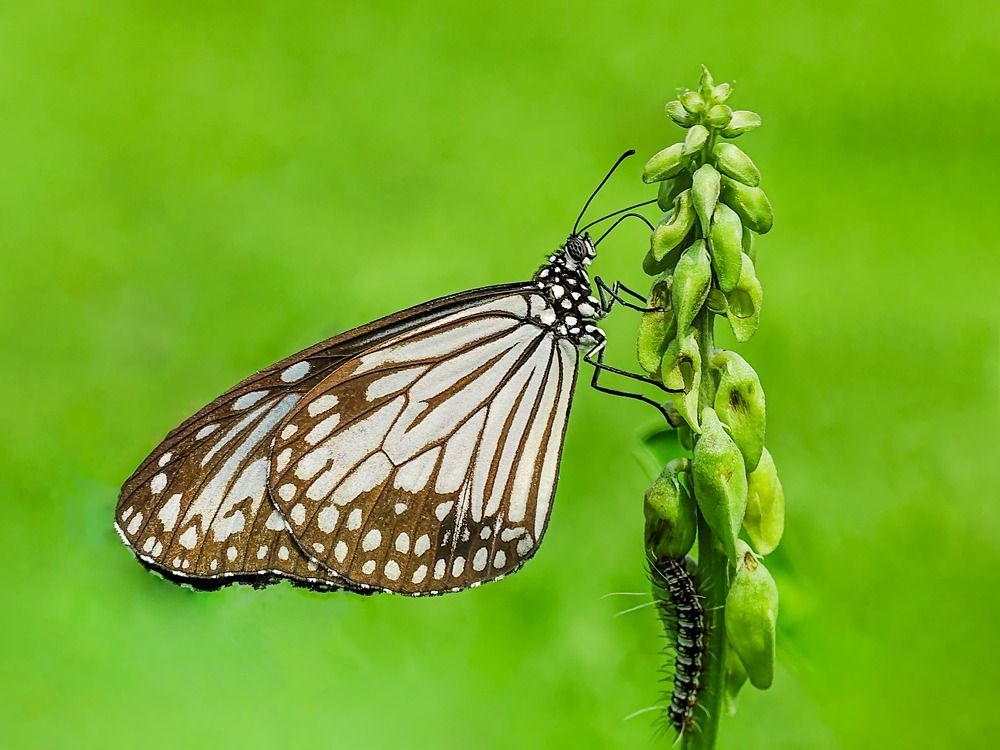 Фотография автора sayantan Pandey