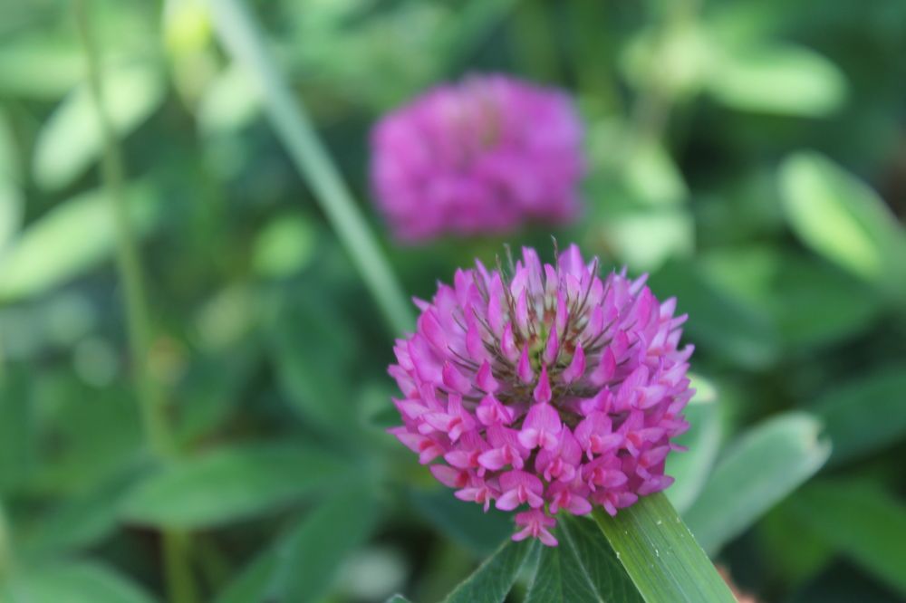 Photograph by Любовь