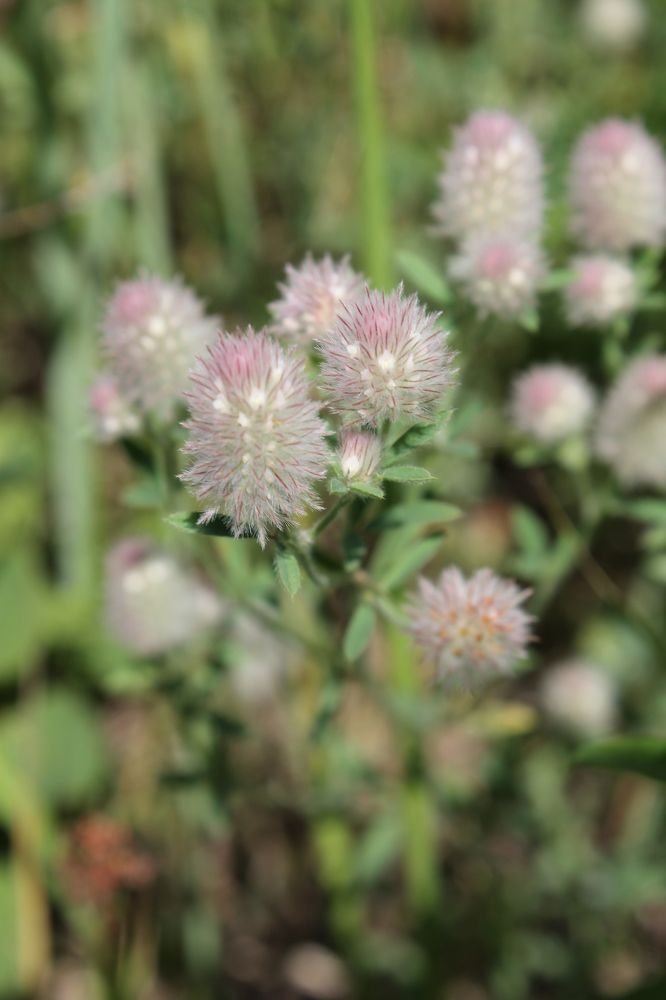 Photograph by Любовь