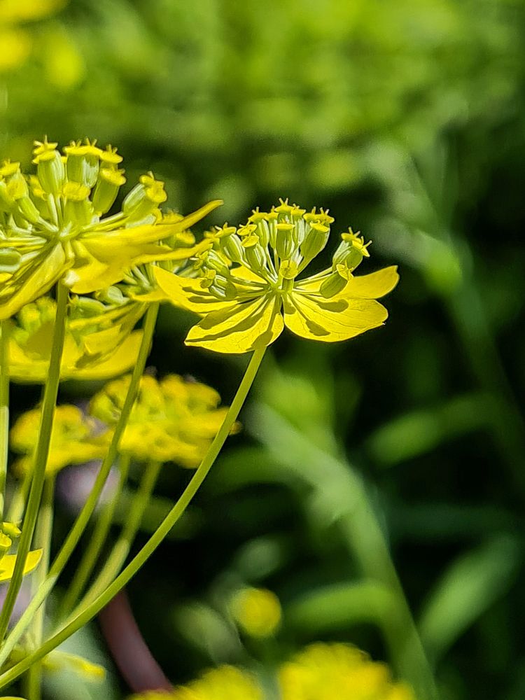 Photograph by Людмила Григорьева