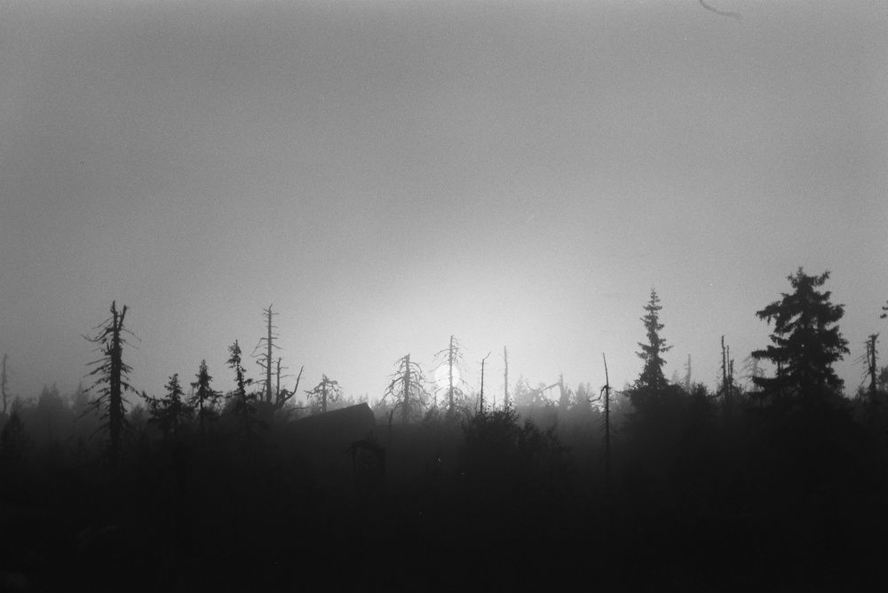 Photograph by Сергей Никифоров