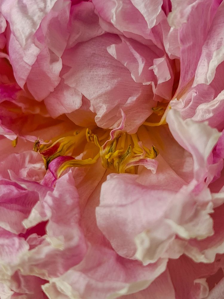 Photograph by Людмила Григорьева