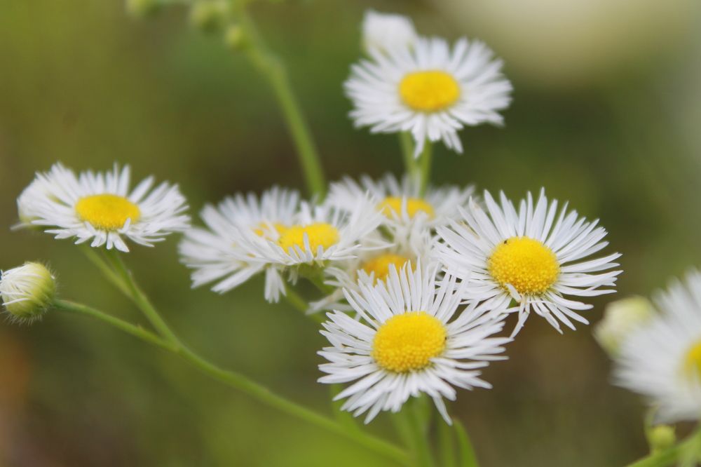 Photograph by Любовь