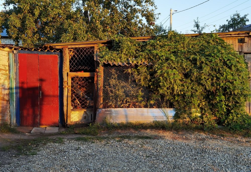 Photograph by Филоненко Николай