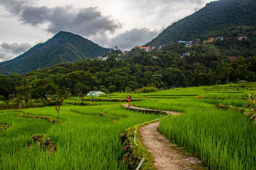 Photograph by Susobhan Biswas