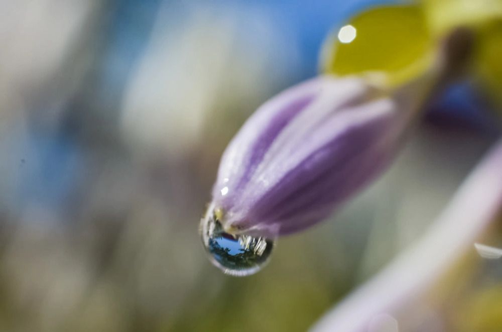 Photograph by Дарья Маркина