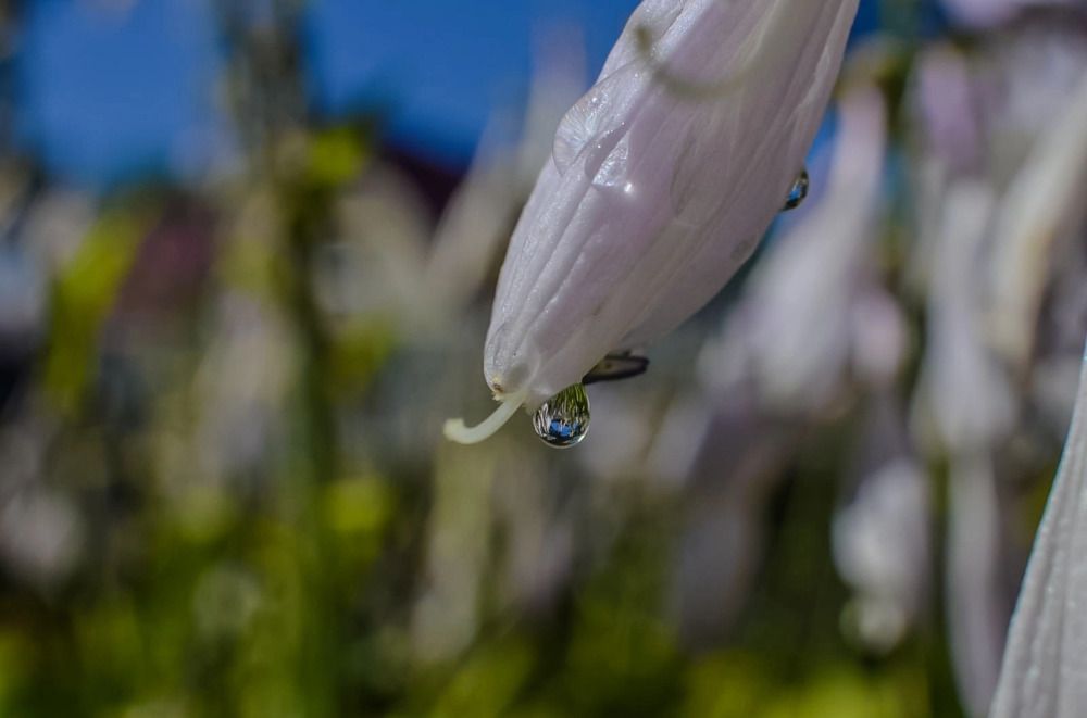 Photograph by Дарья Маркина