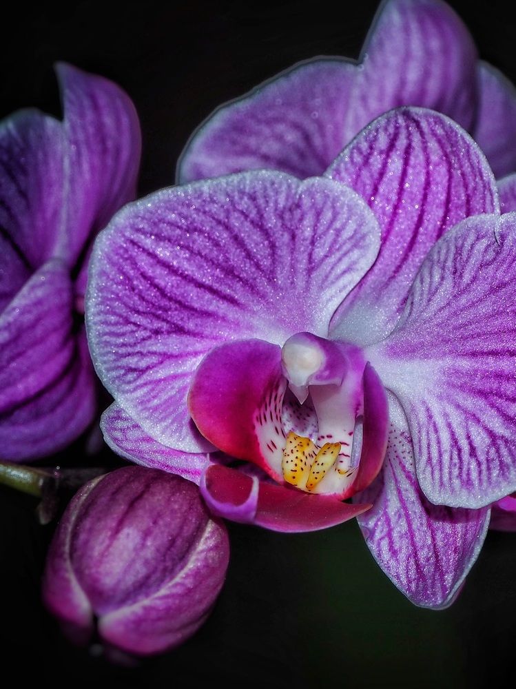 Photograph by Ирина Килина