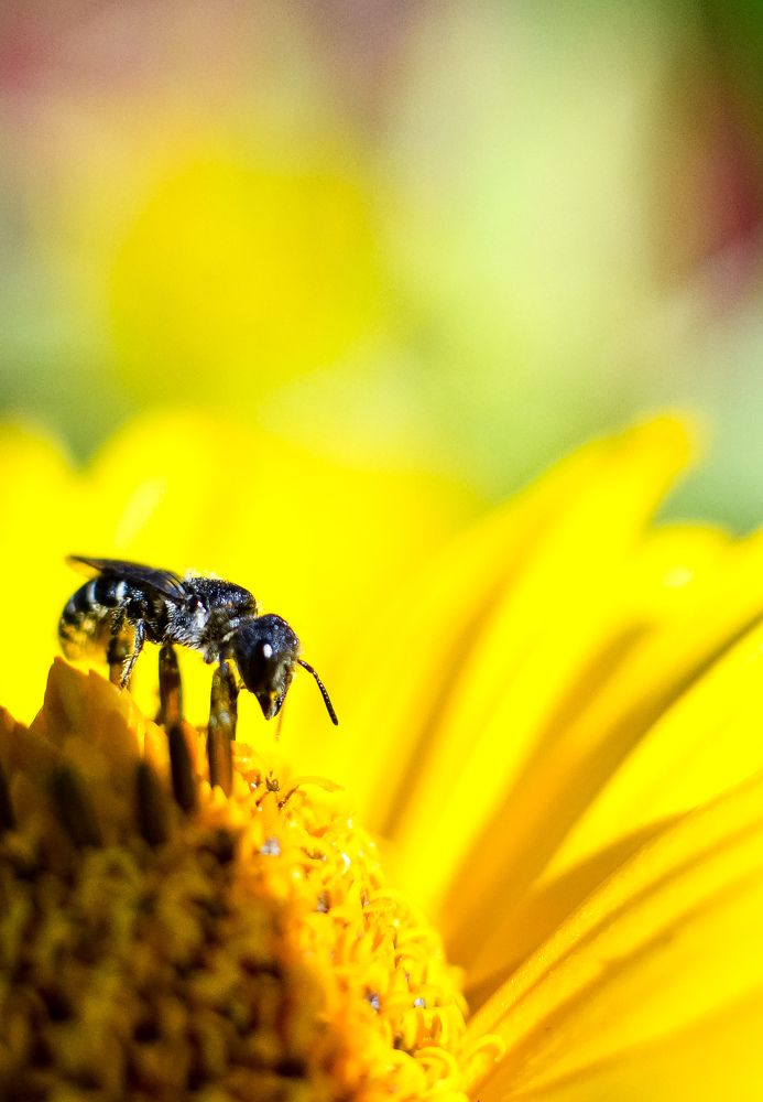 Photograph by Дарья Маркина