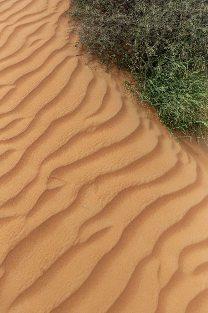 Photograph by Анна Матвеева