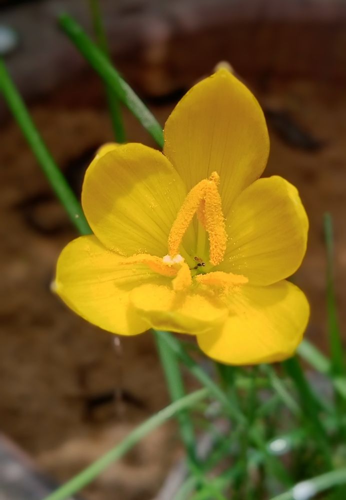 Photograph by Yasha Akhtar