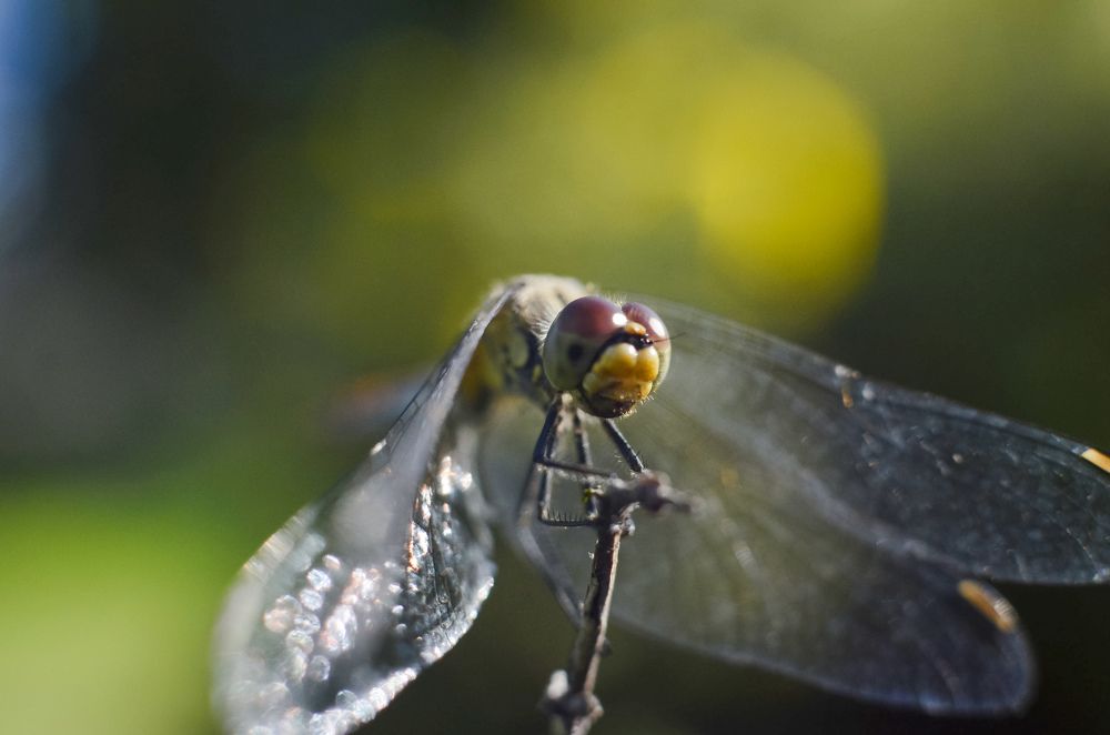 Photograph by Дарья Маркина