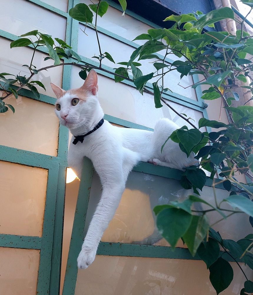 Photograph by Yulia Rotbach