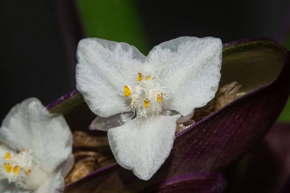 Photograph by Евгения Дахина