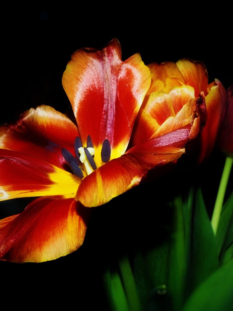 Photograph by Ирина Килина