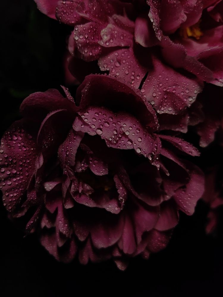 Photograph by Ольга Карева