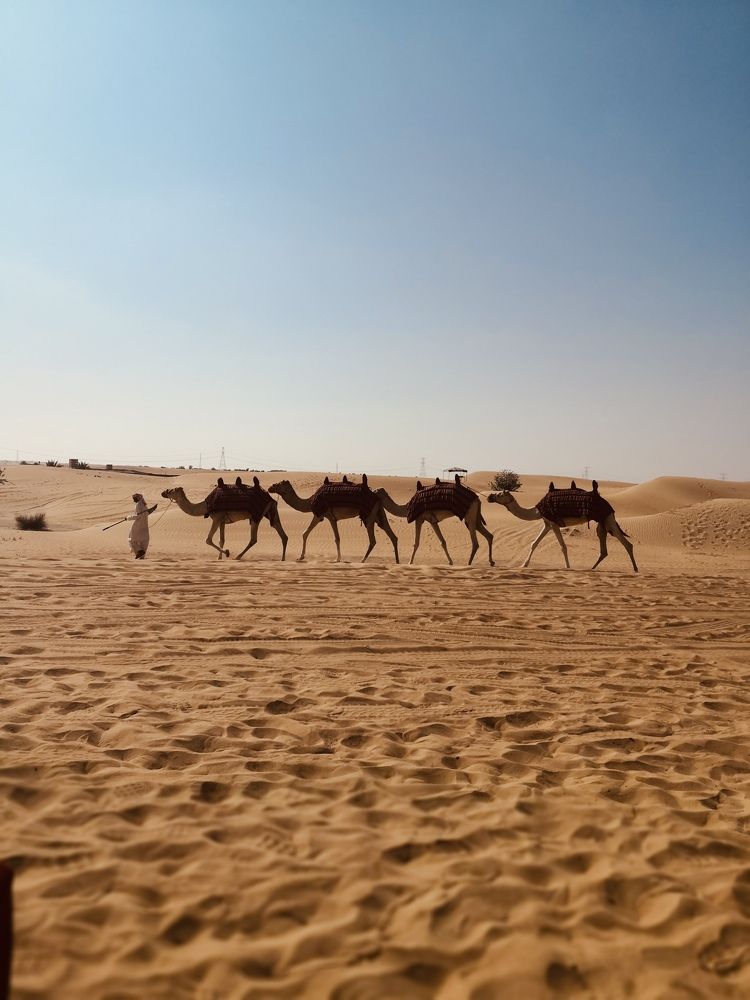 Photograph by Irina Kolotova