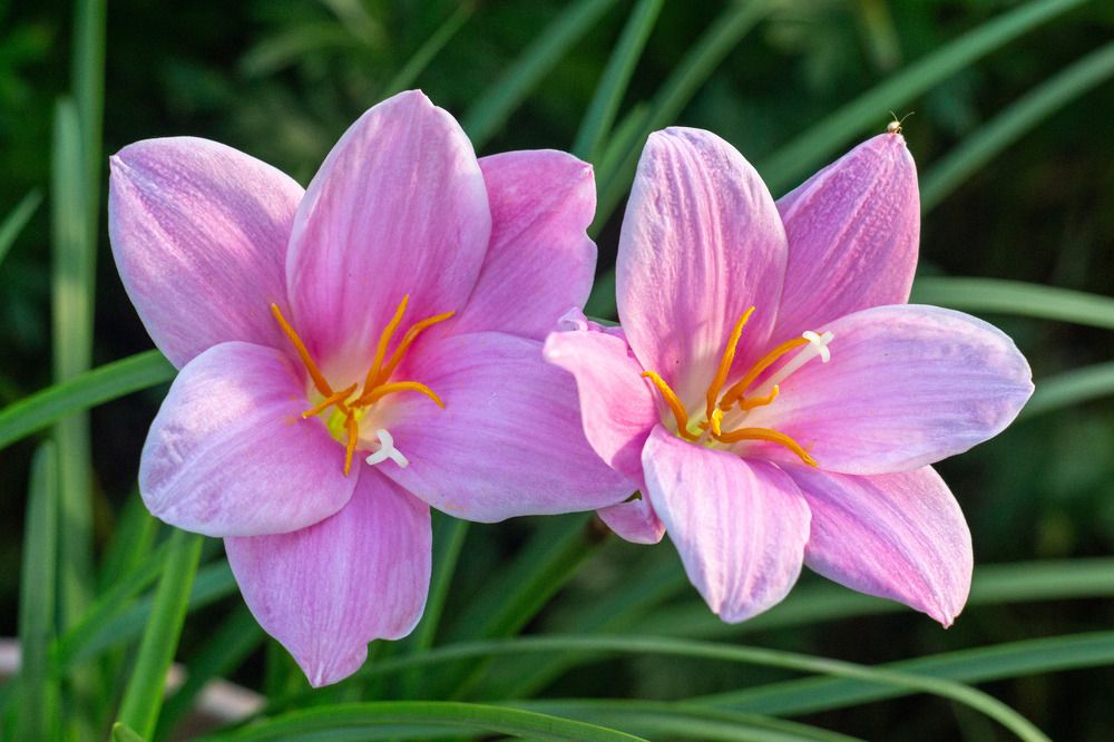 Photograph by Александр Вандеров