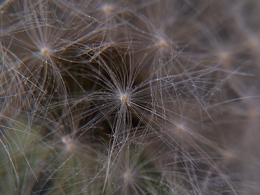 Фотография автора Максим Гафнер