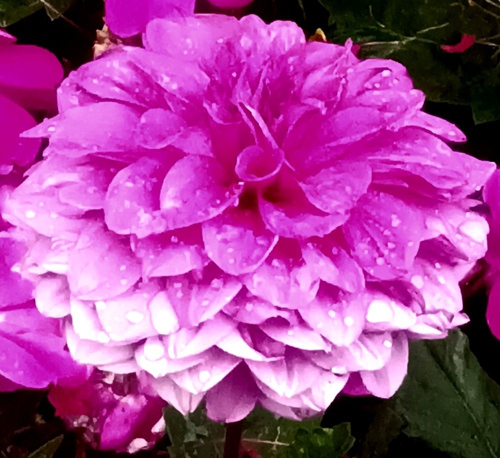 Фотография автора Maks Lanister