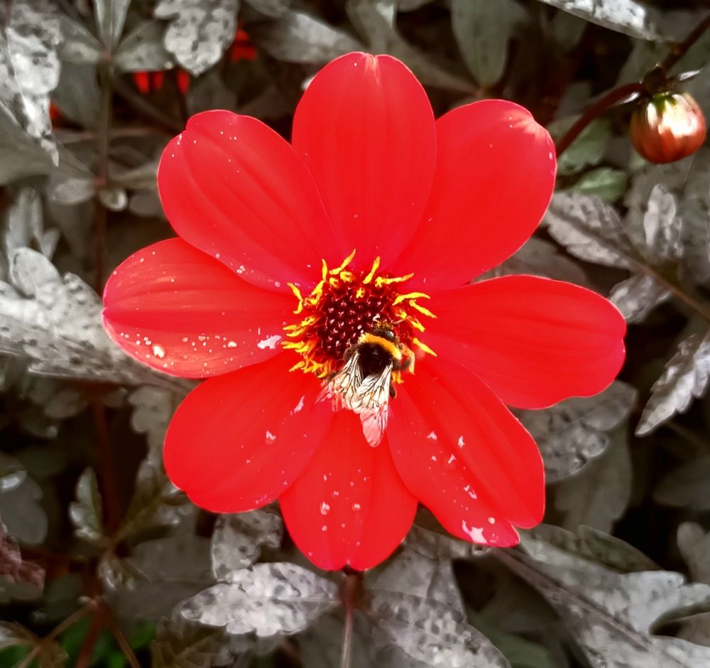 Фотография автора Maks Lanister