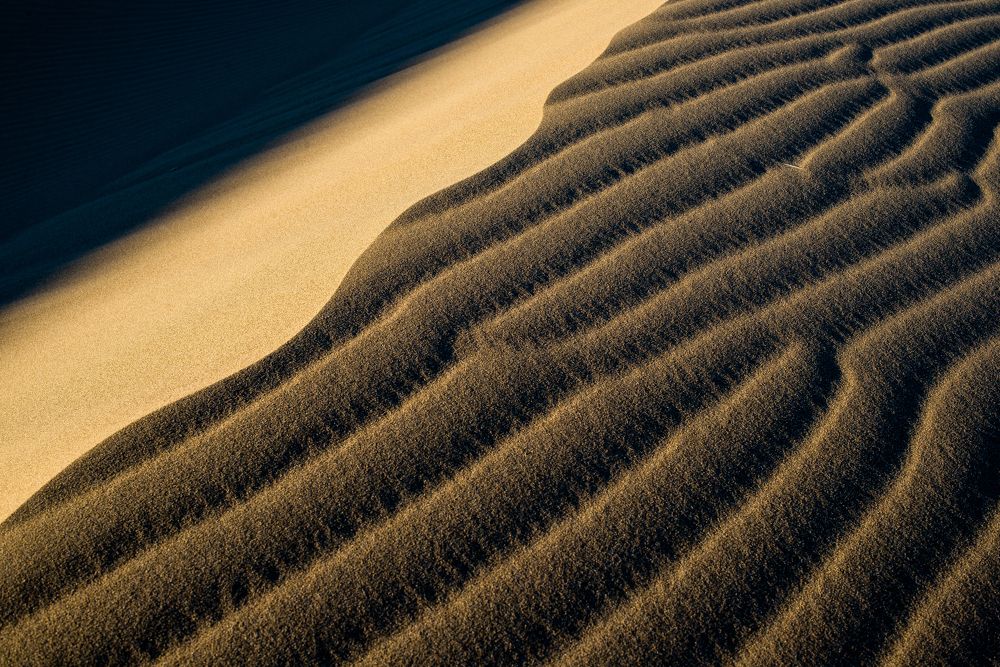 Photograph by Soheil Shahbazi