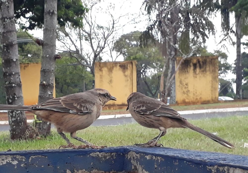 Photograph by Christiane Regina De oliveira