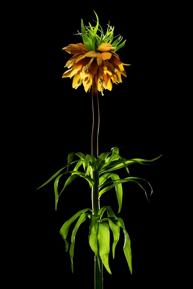 Photograph by Владимир Сакунов