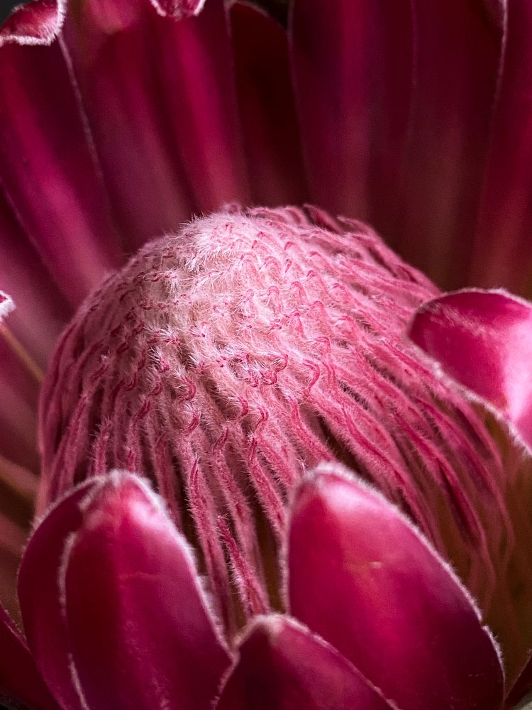 Photograph by Дарья Махнёва