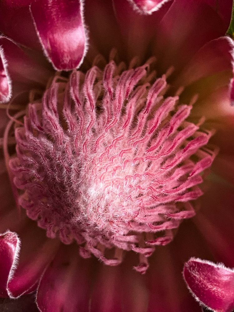 Photograph by Дарья Махнёва