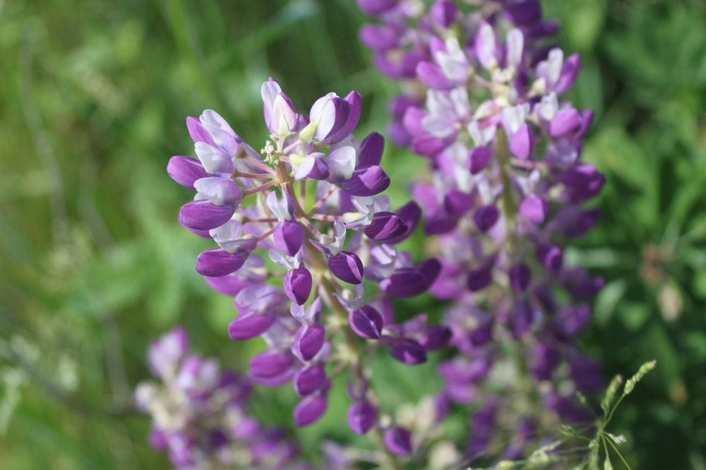 Photograph by Валерия Комаровская