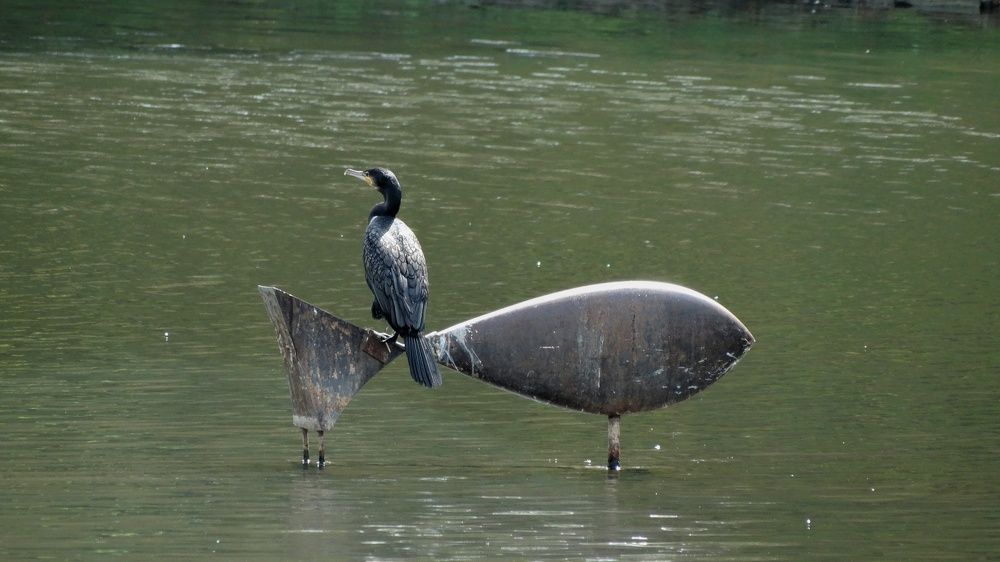 Photograph by Давыдова Ирина