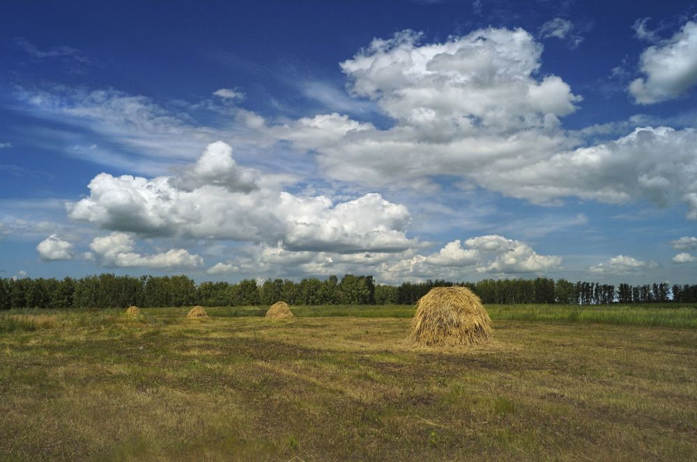 Photograph by Татьяна Мишустина