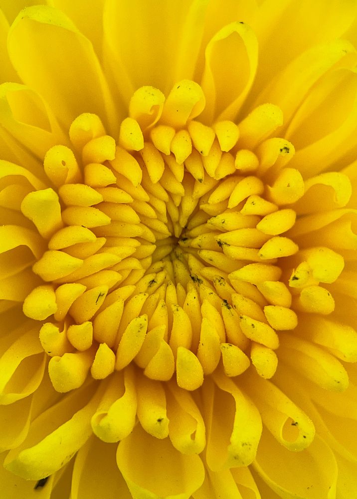 Photograph by Souvik Bhowmik