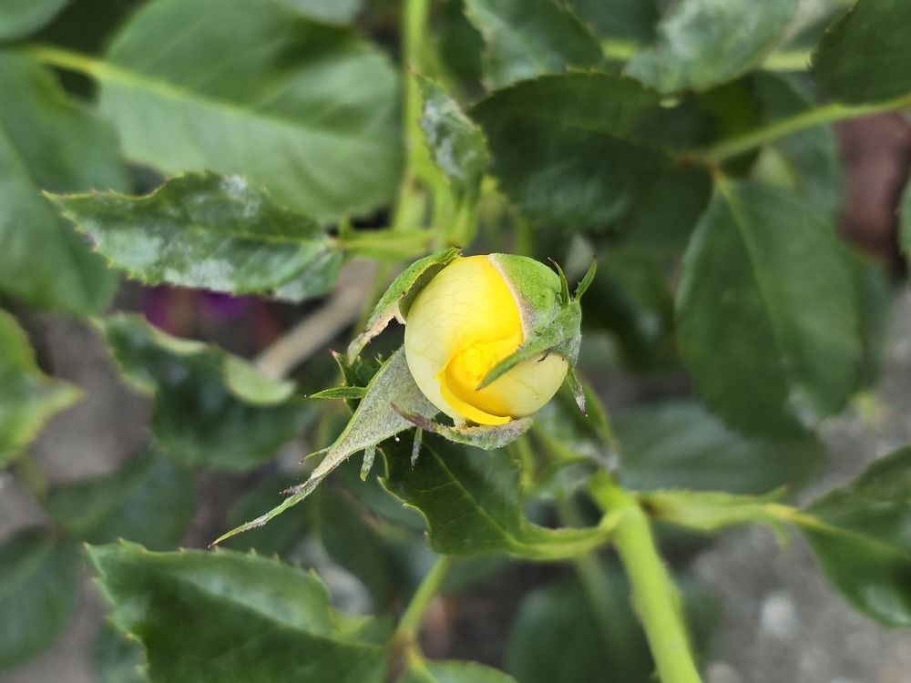 Photograph by Татьяна Дмитриева