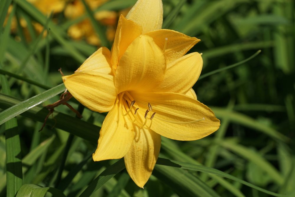 Photograph by Татьяна Дмитриева