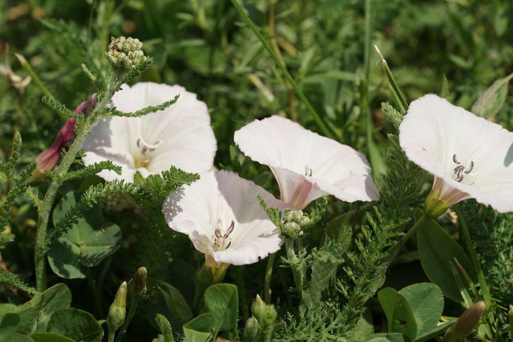 Photograph by Татьяна Дмитриева