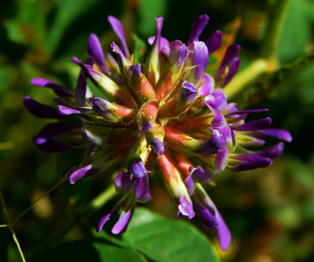 Photograph by Сергей Чеченов