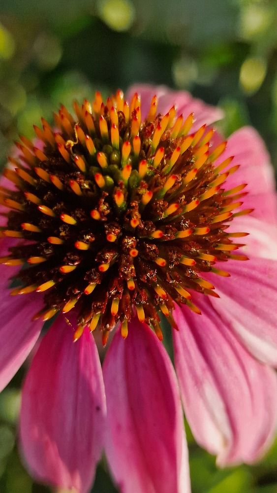 Photograph by Gemelina Opriș