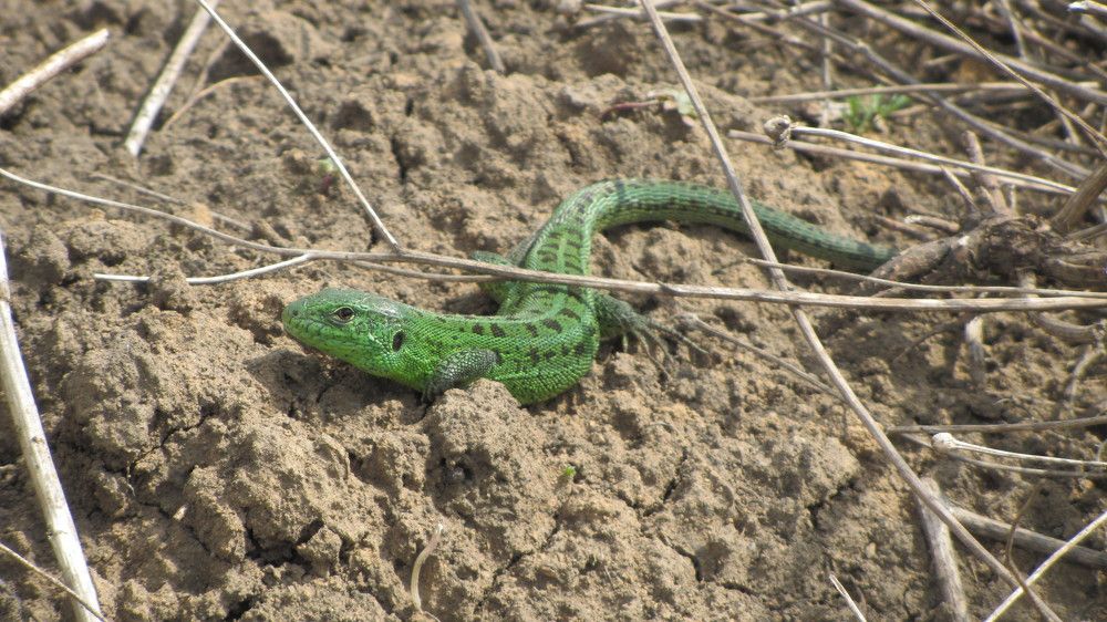 Photograph by Татьяна Дмитриева
