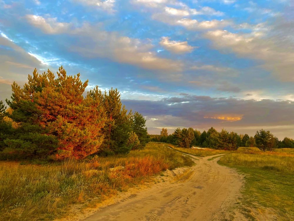 Photograph by Валерий Мыльников