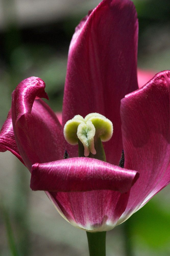 Photograph by Yroslava Veretina