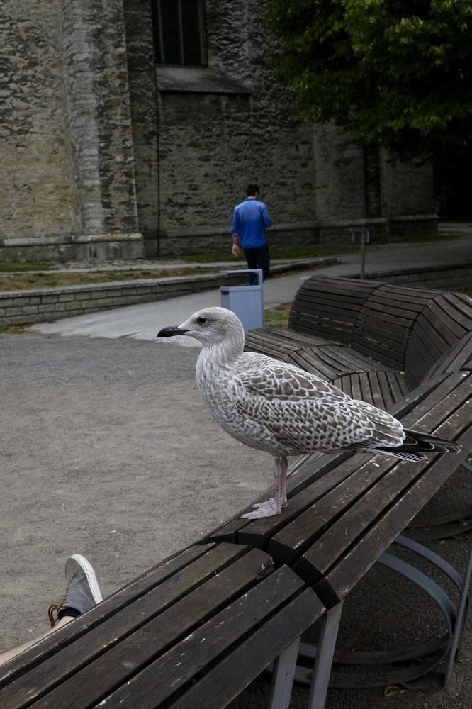 Photograph by Ольга Одаренко