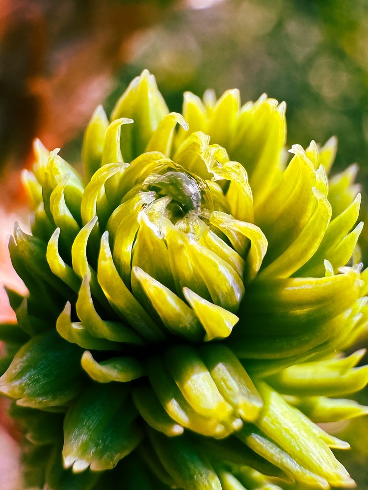 Photograph by Валерия Спирина