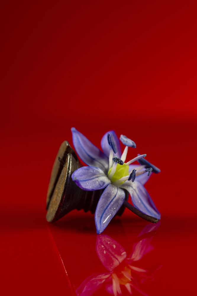 Photograph by Andrey Tarasyuk