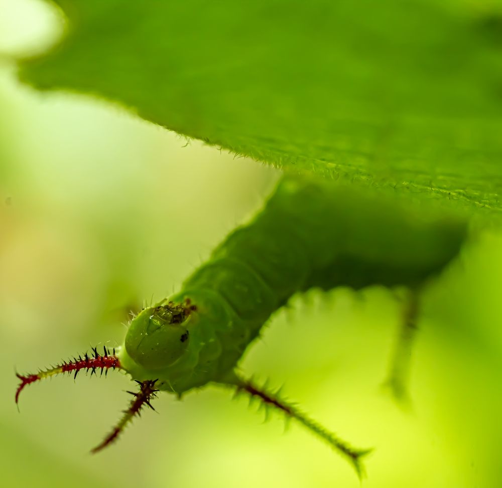 Photograph by Елена