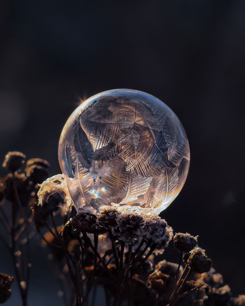 Photograph by Isaeva Maria