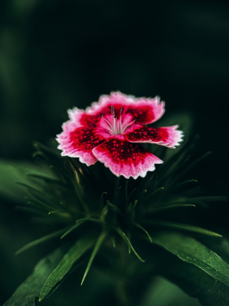 Фотография автора Юля