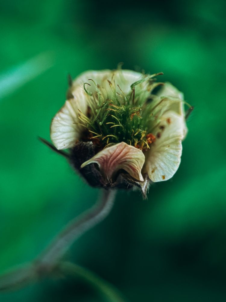 Фотография автора Юля