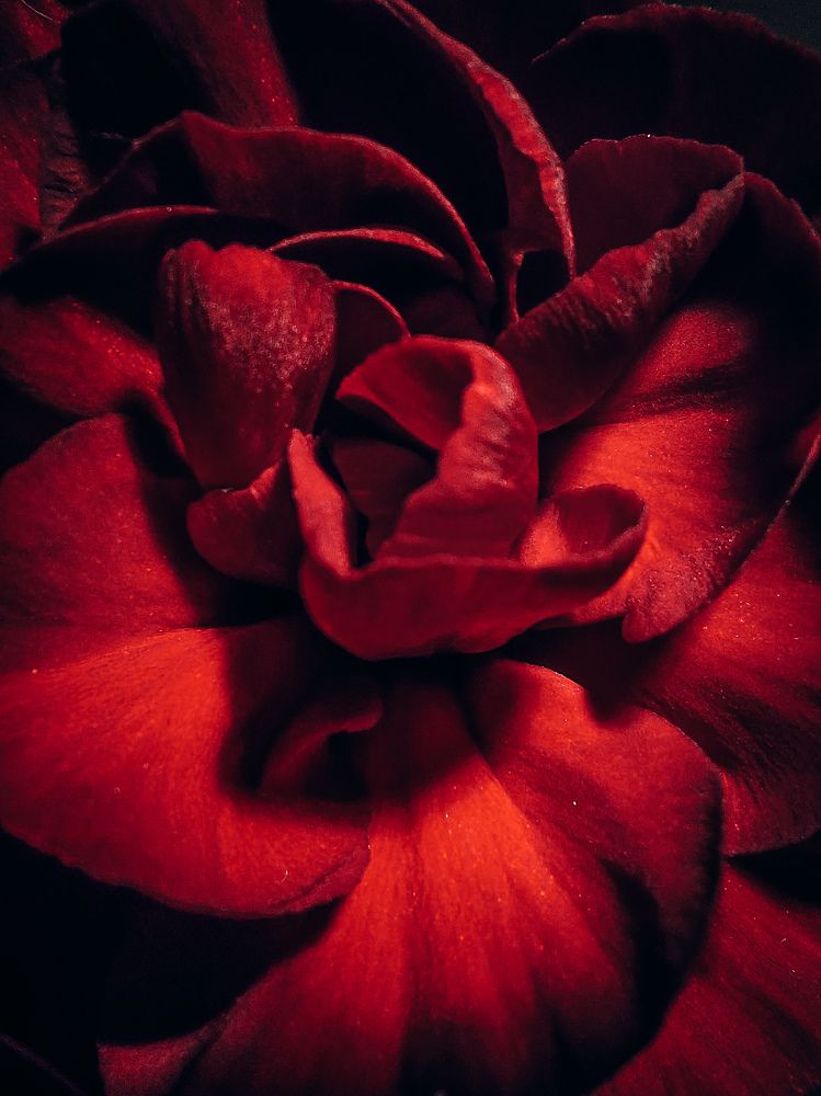 Photograph by Татьяна Олефиренко